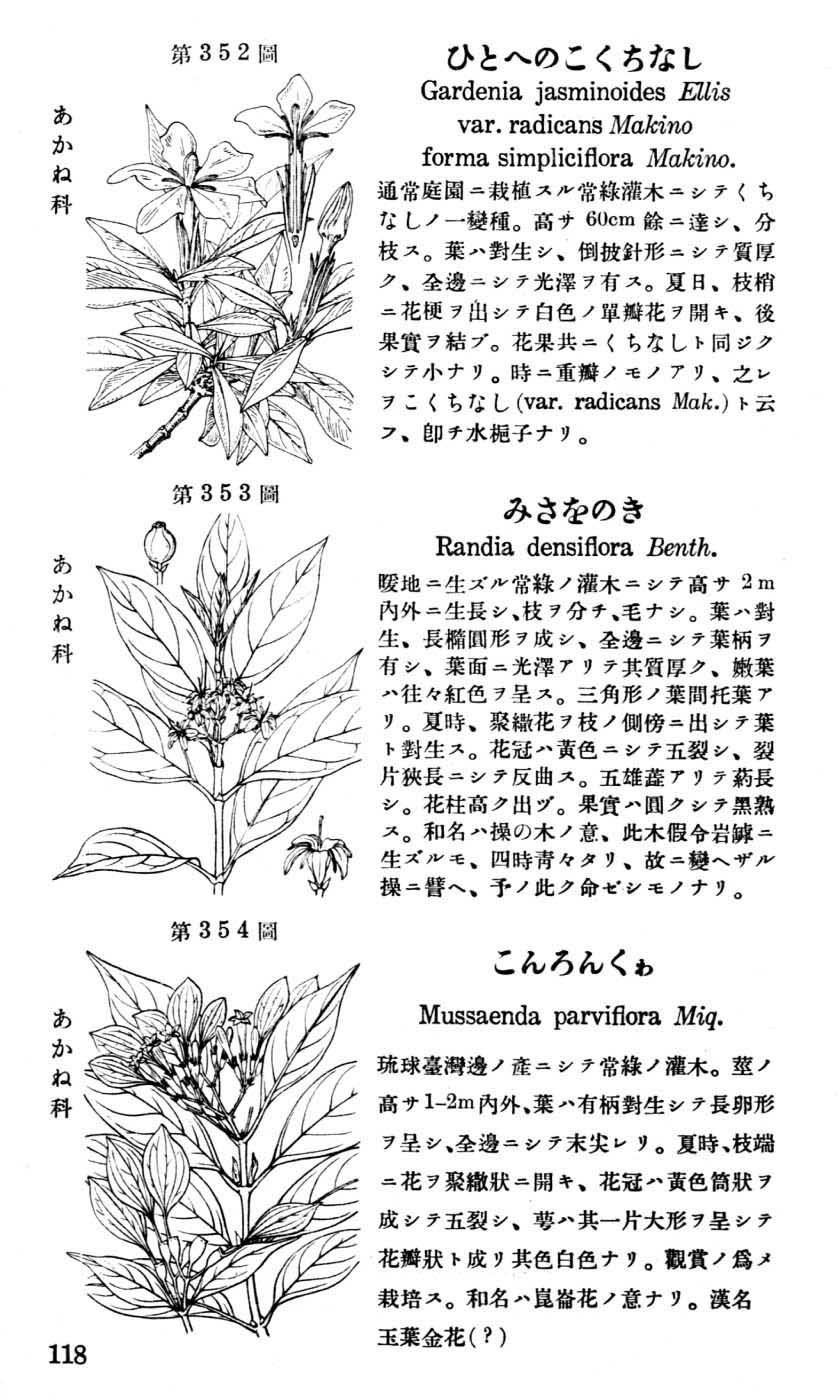 植物図鑑