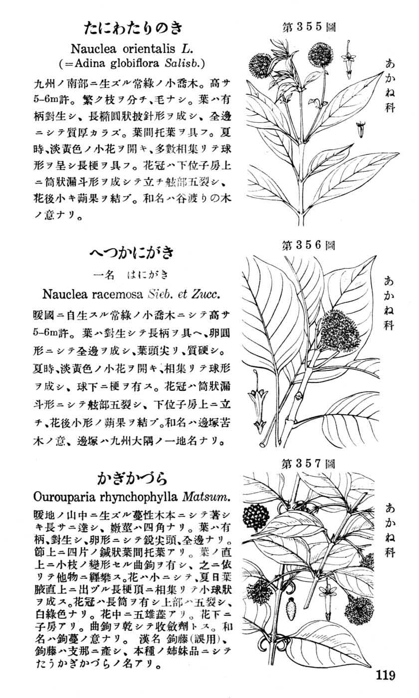 植物図鑑