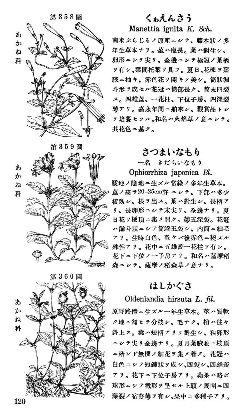 植物図鑑