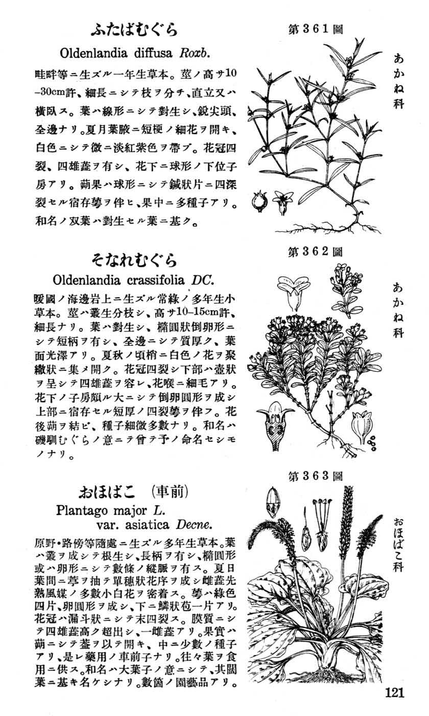 植物図鑑