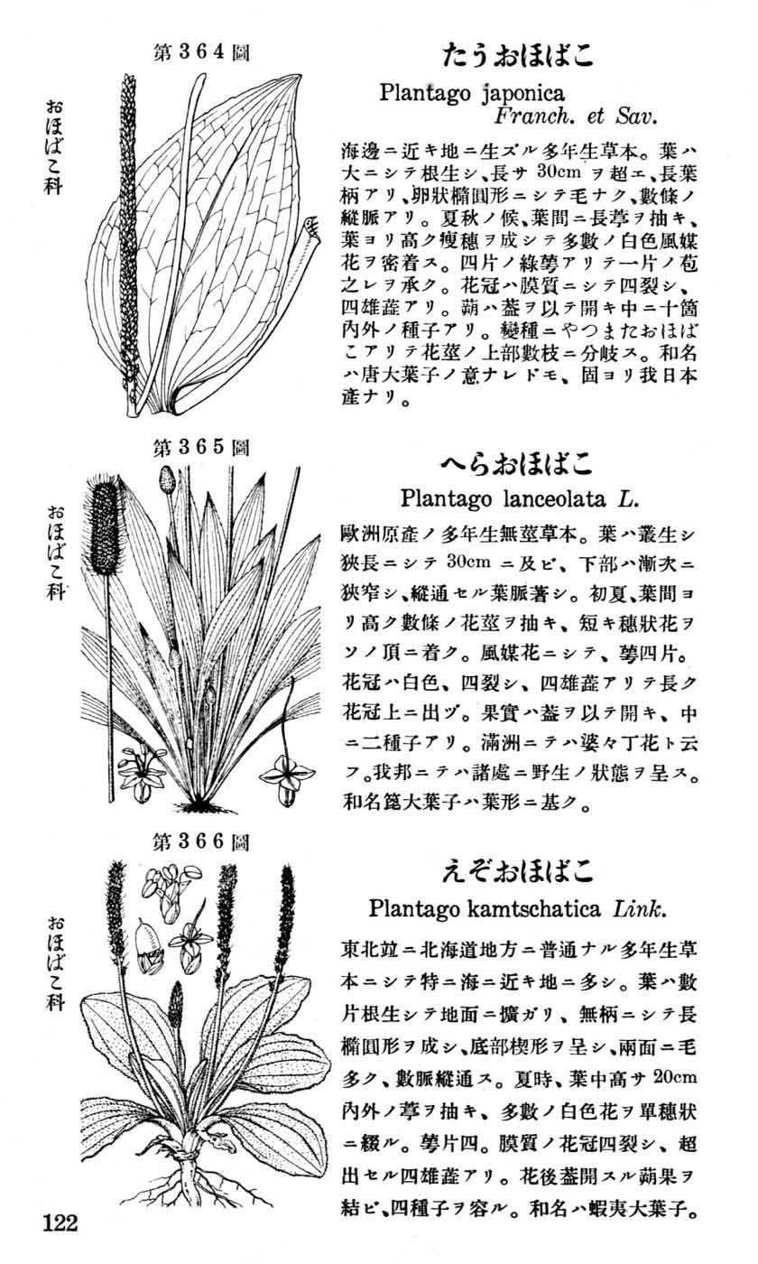 植物図鑑