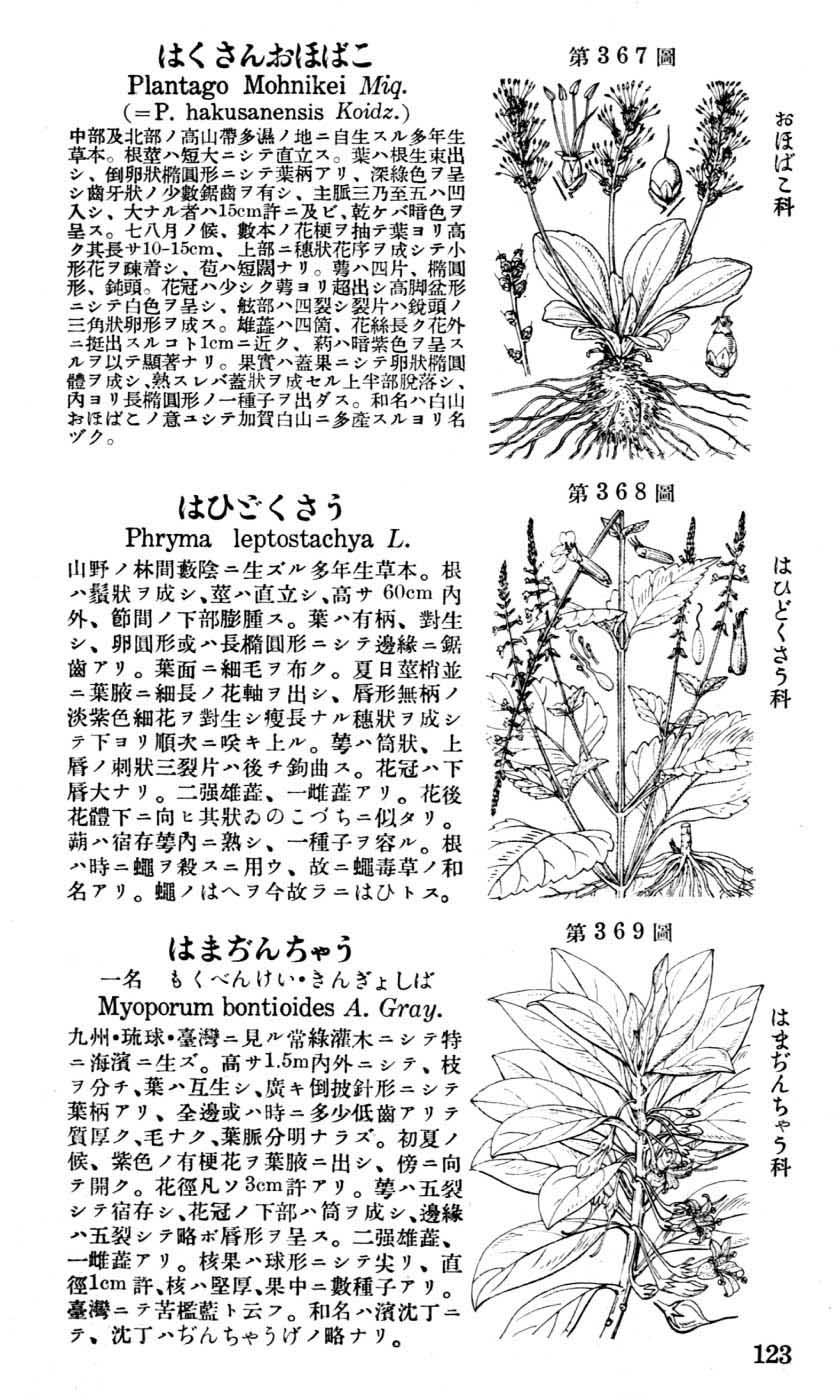 植物図鑑