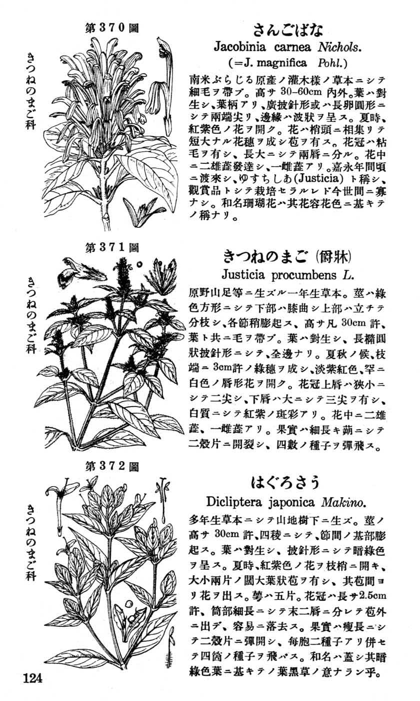 植物図鑑