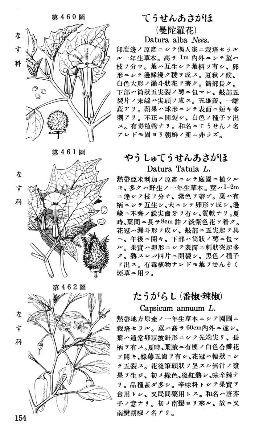 植物図鑑