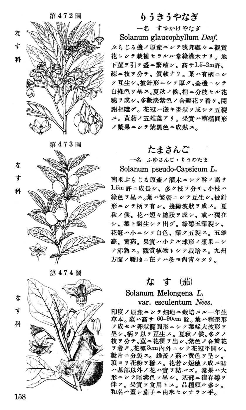 植物図鑑