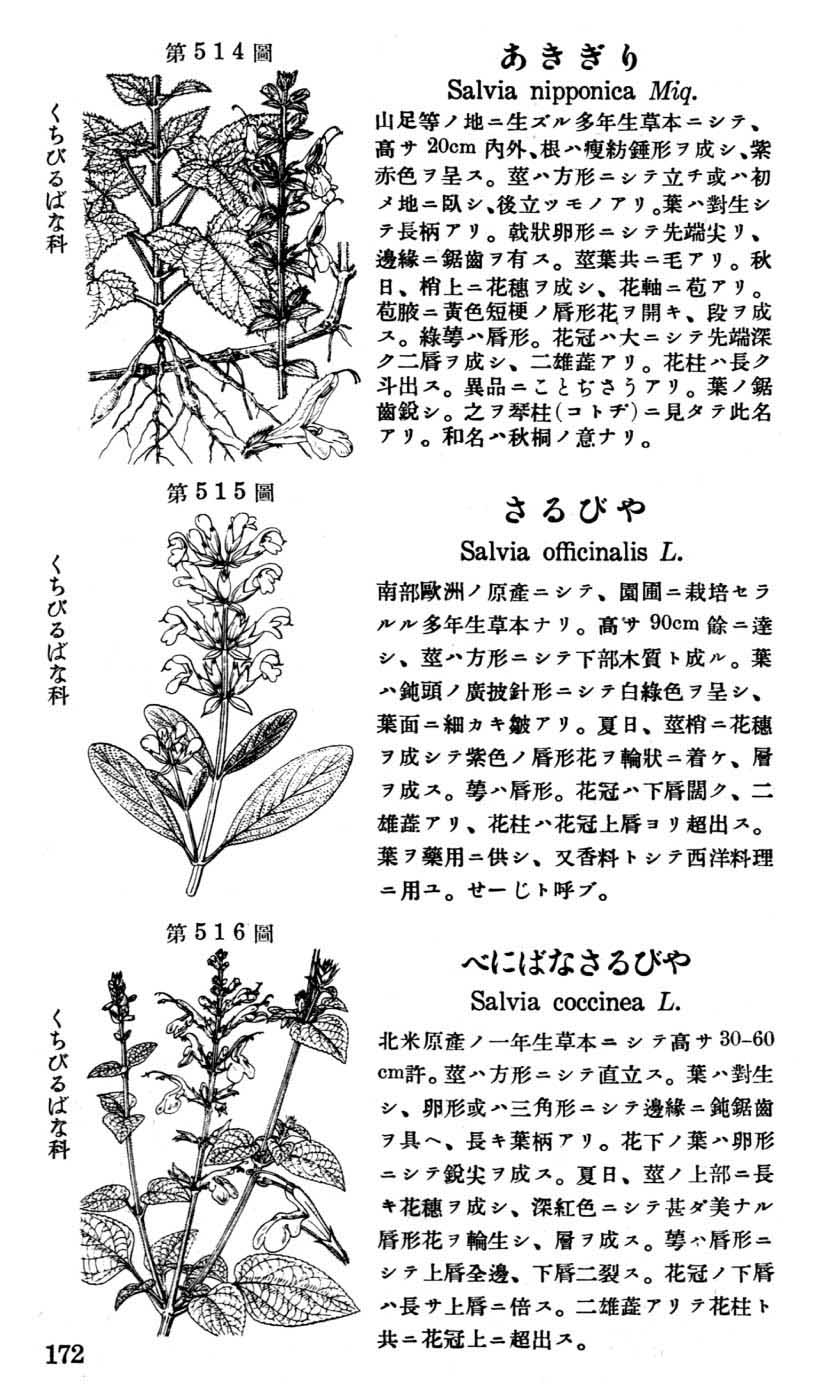 植物図鑑