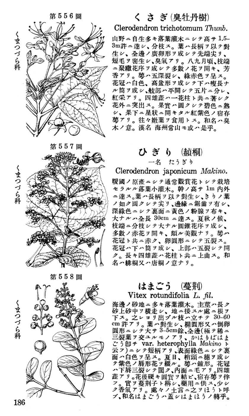 植物図鑑