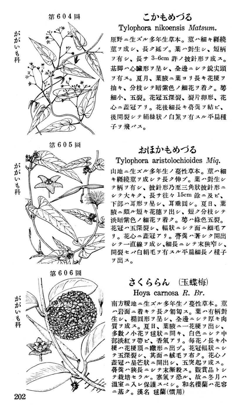 植物図鑑