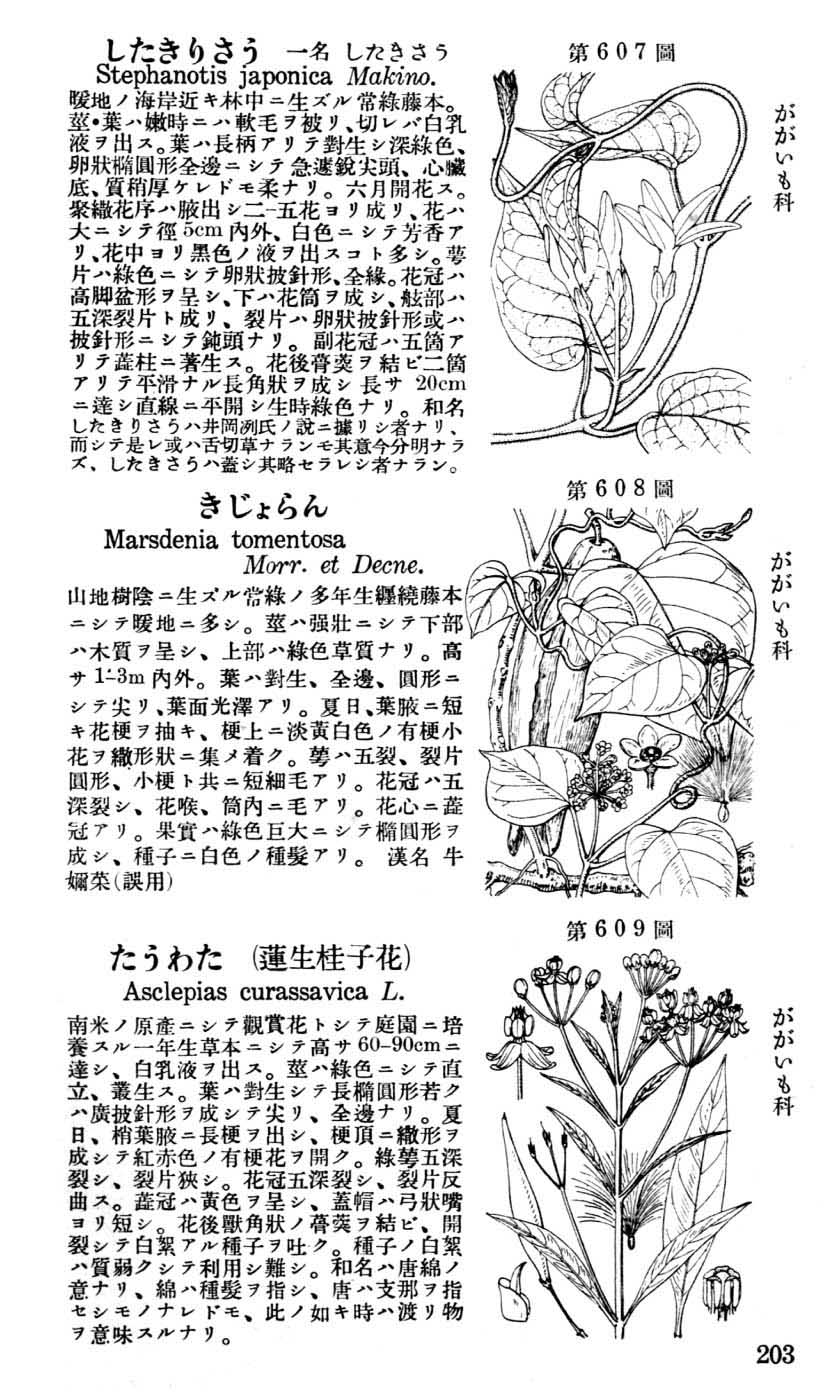 植物図鑑