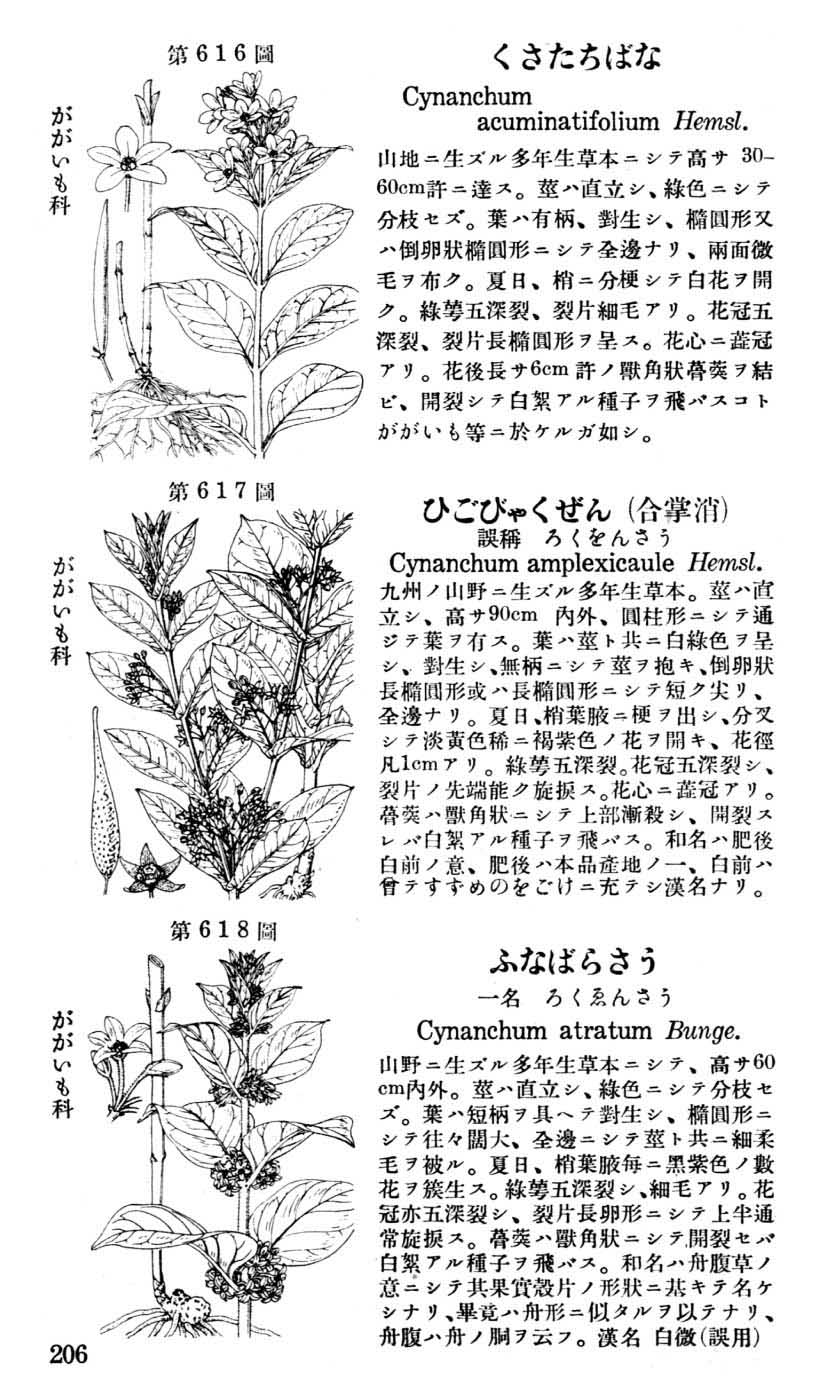 植物図鑑