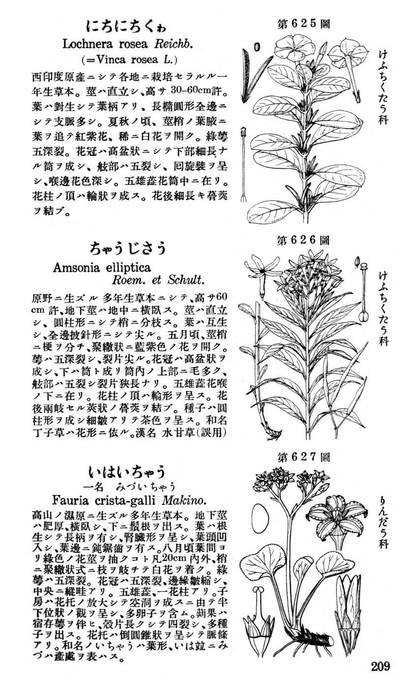 植物図鑑