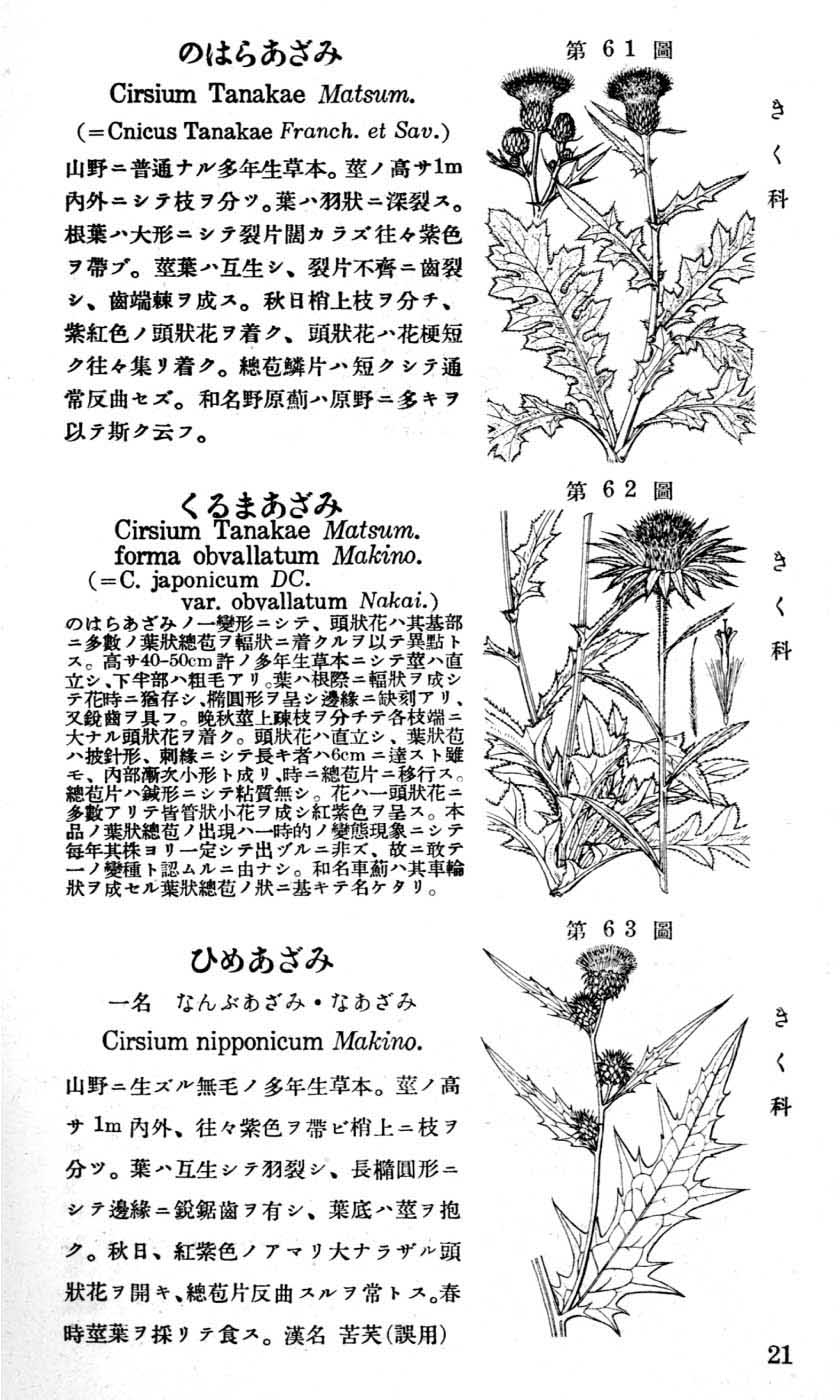 牧野日本植物図鑑（初版・増補版）インターネット版