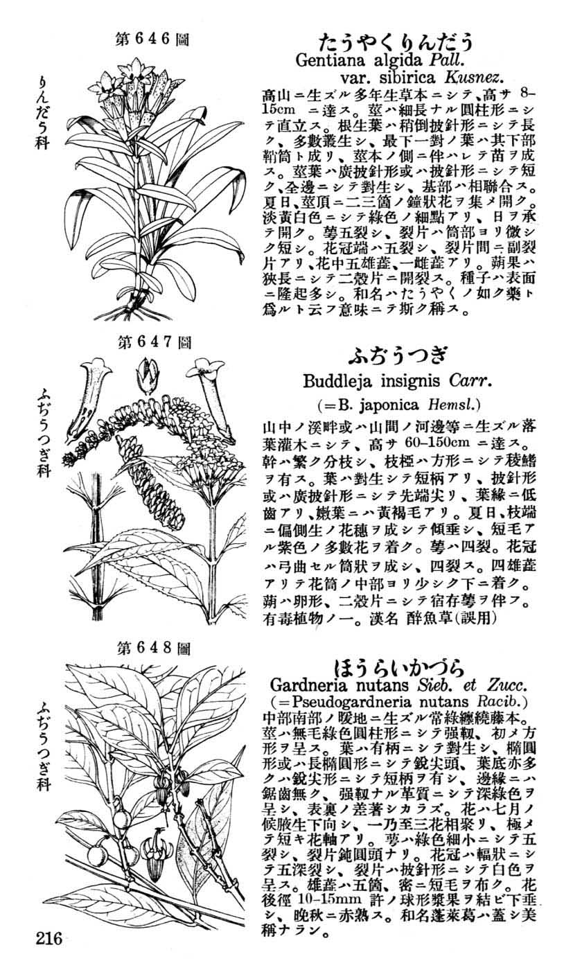 植物図鑑