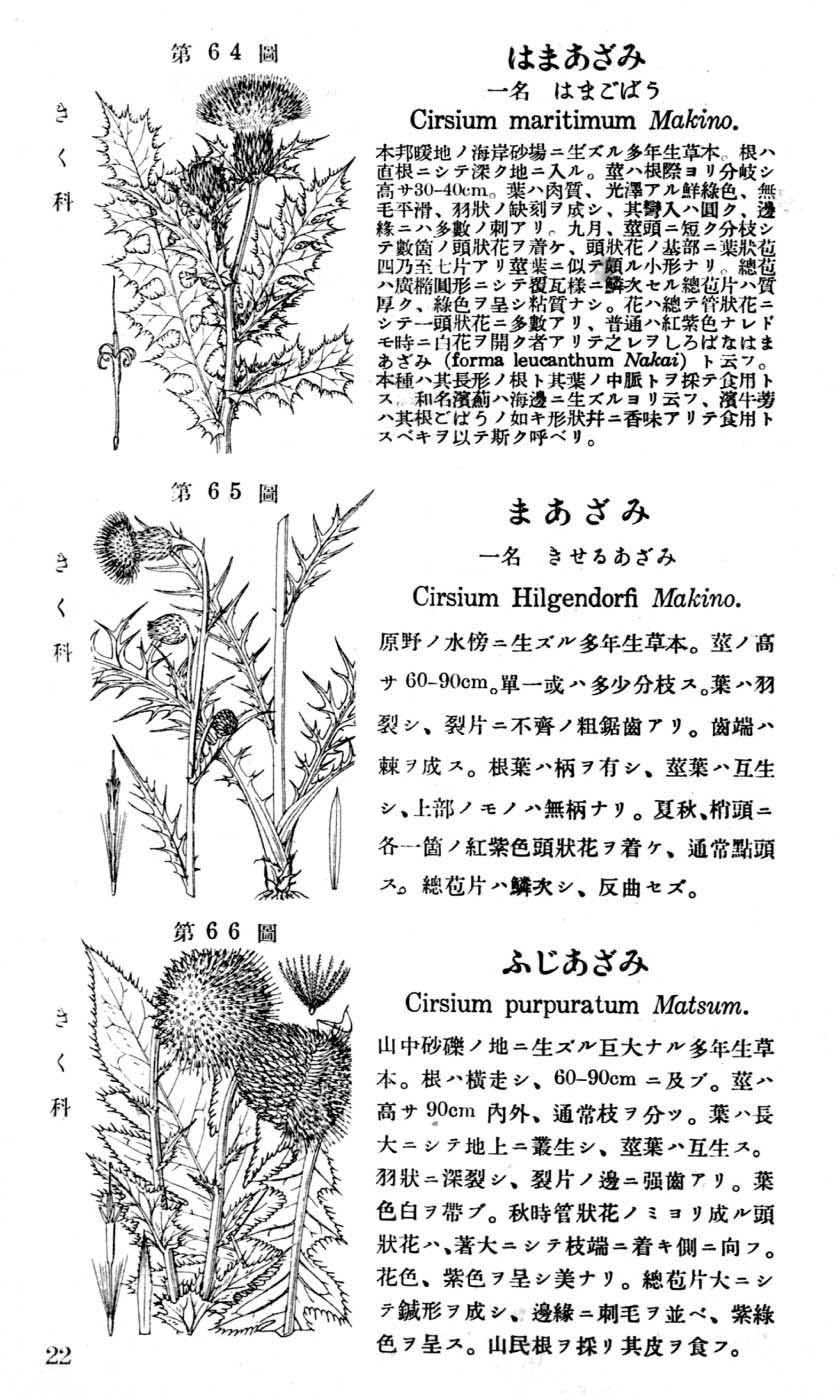 植物図鑑