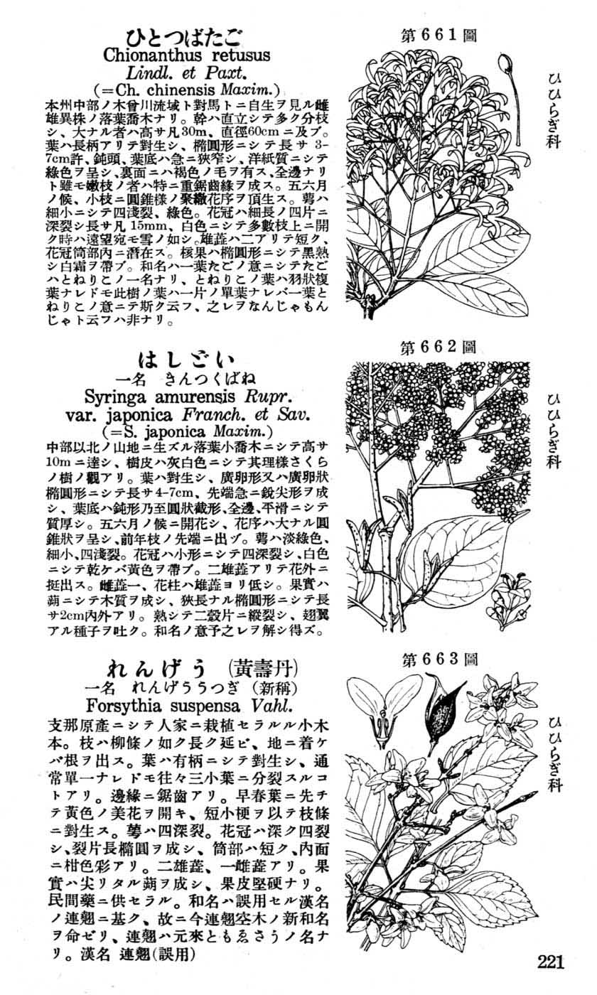 植物図鑑