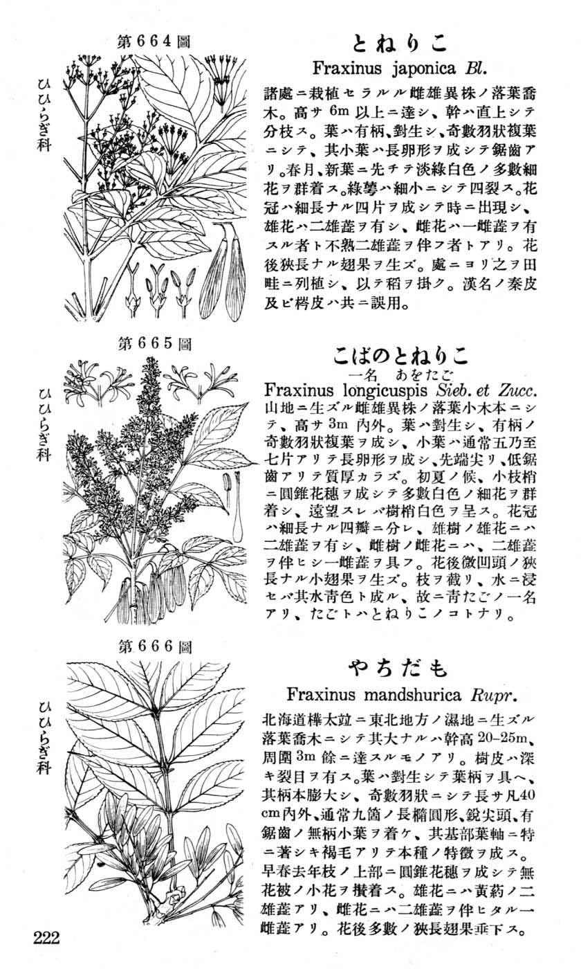 植物図鑑