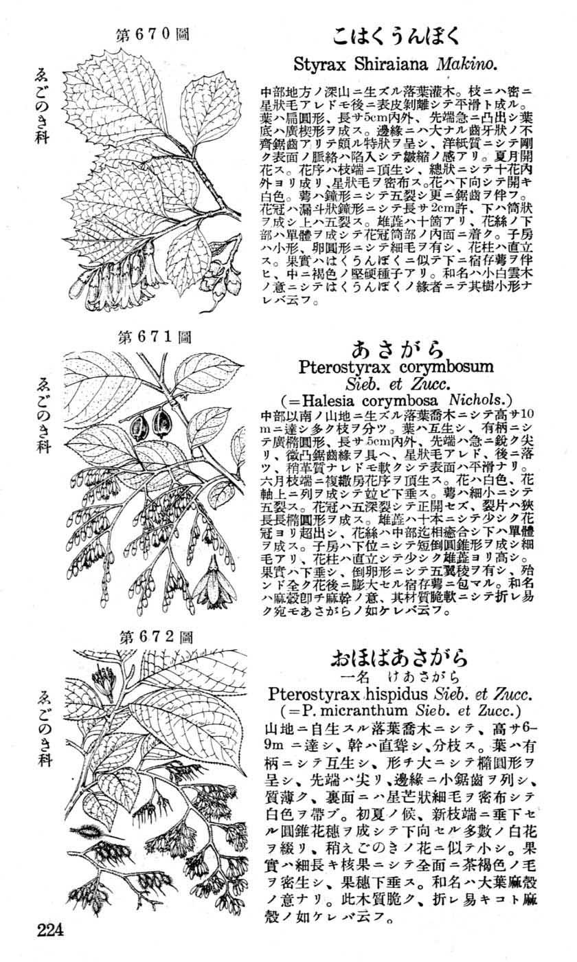 植物図鑑