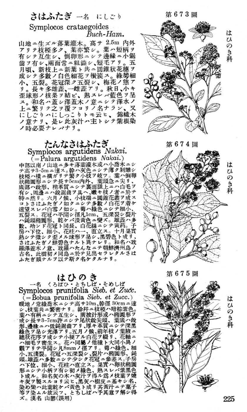 植物図鑑