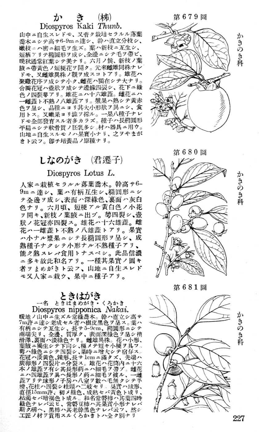 植物図鑑