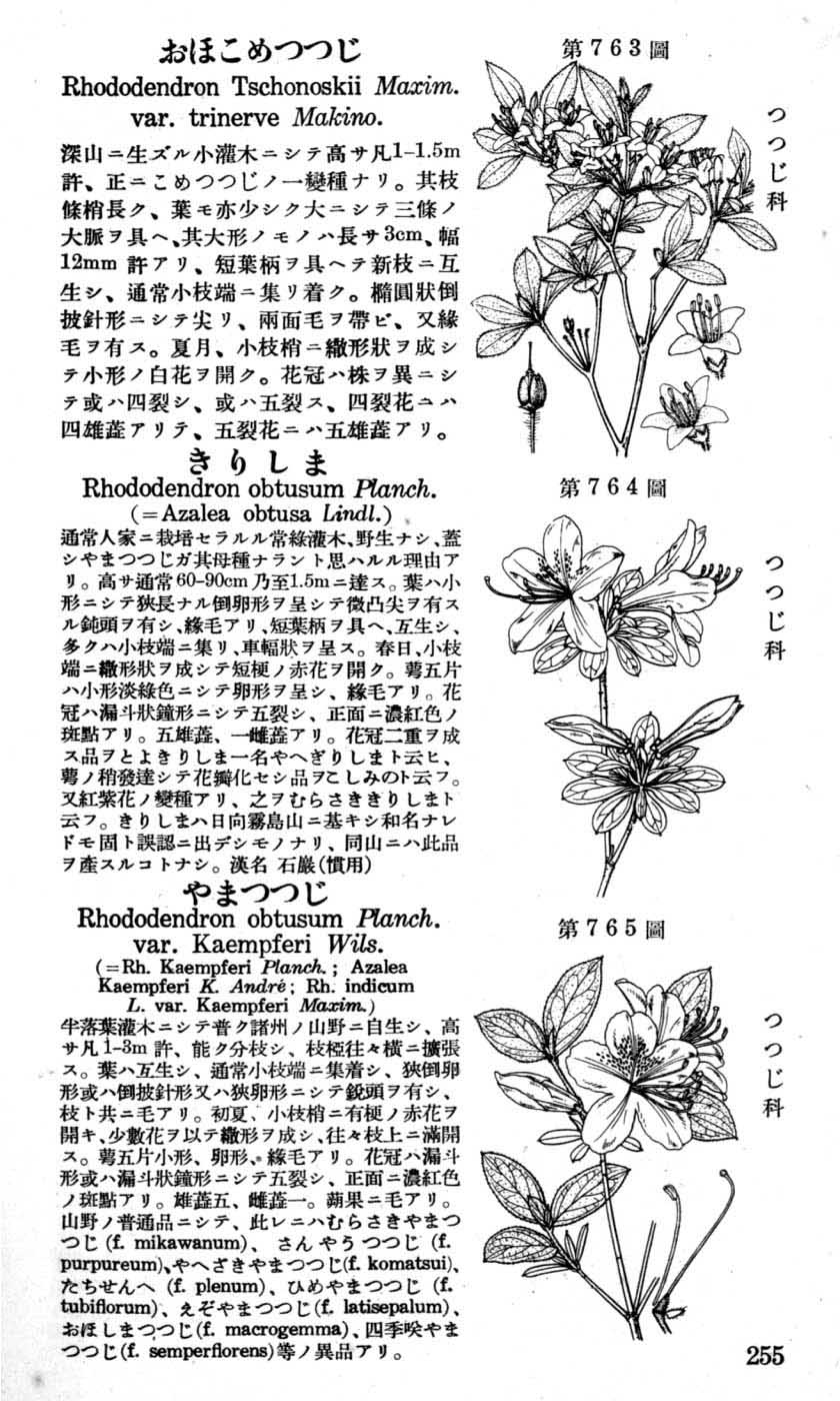 植物図鑑