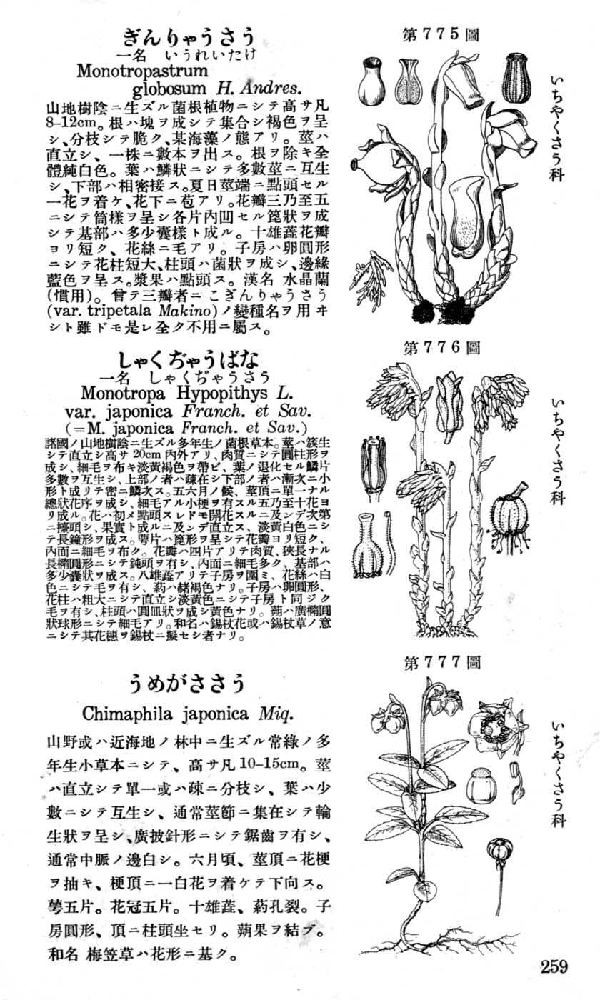植物図鑑