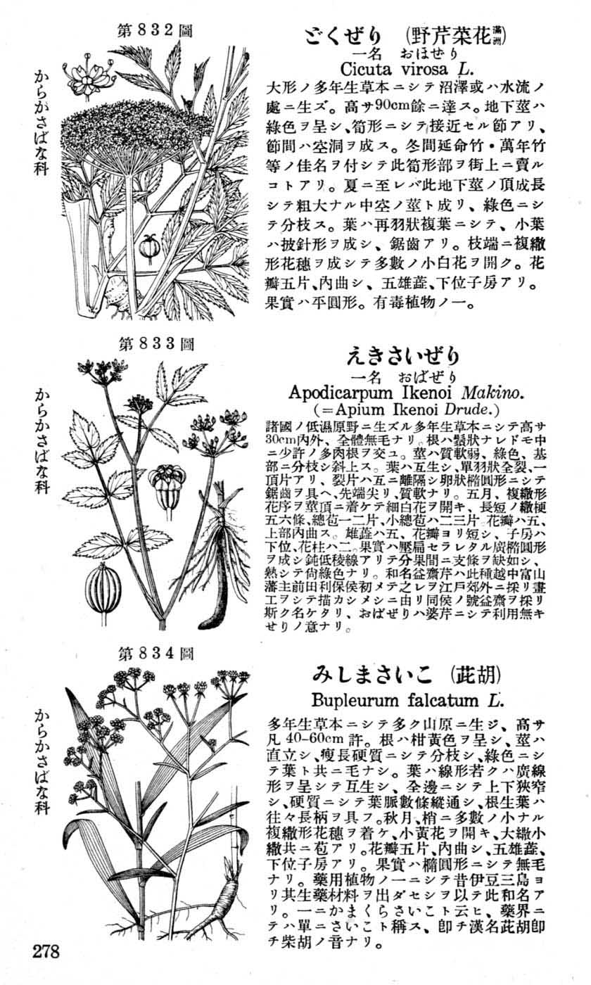 植物図鑑