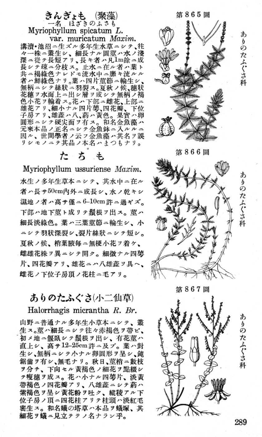 植物図鑑