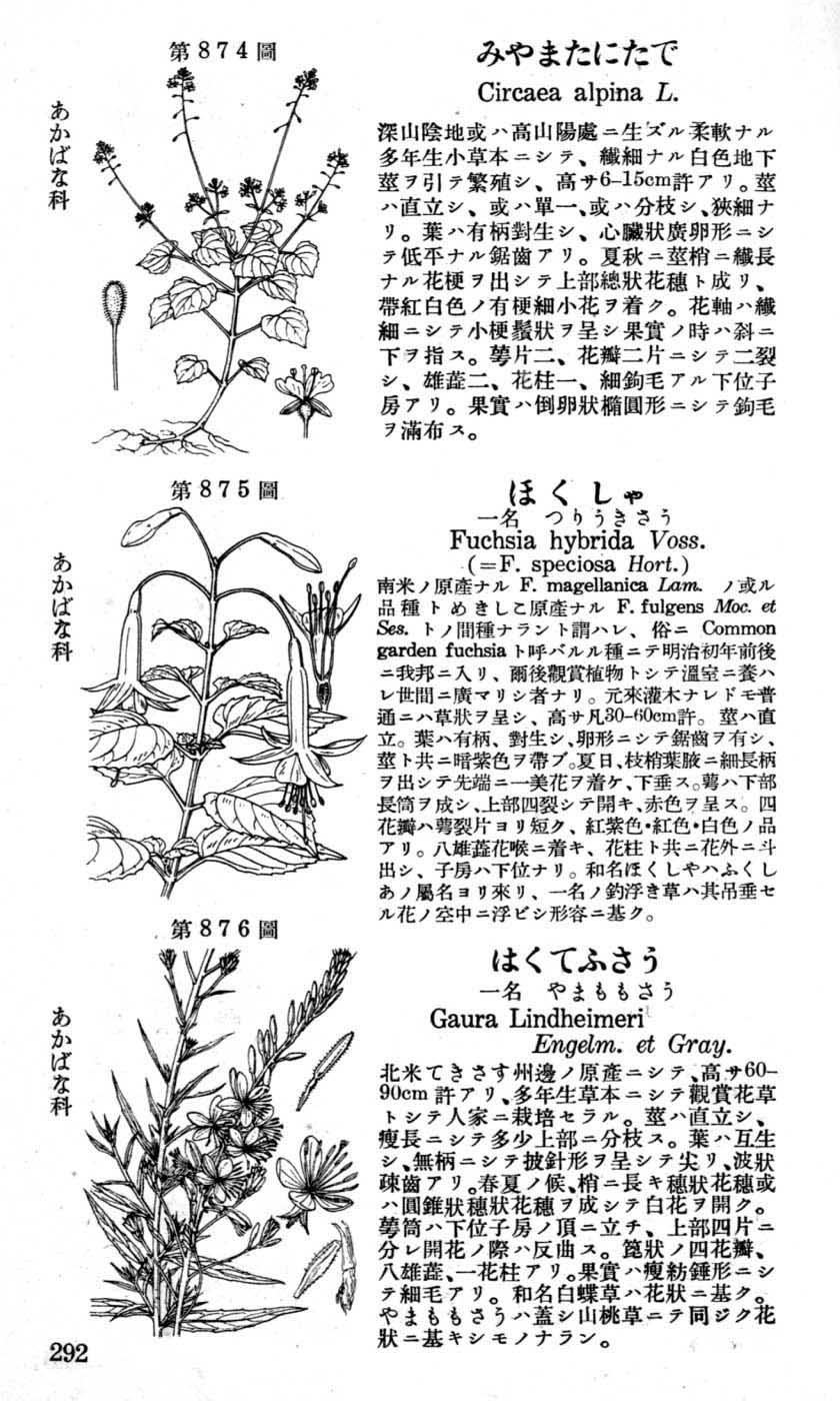 植物図鑑