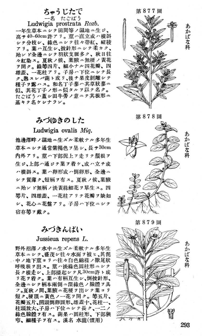 植物図鑑