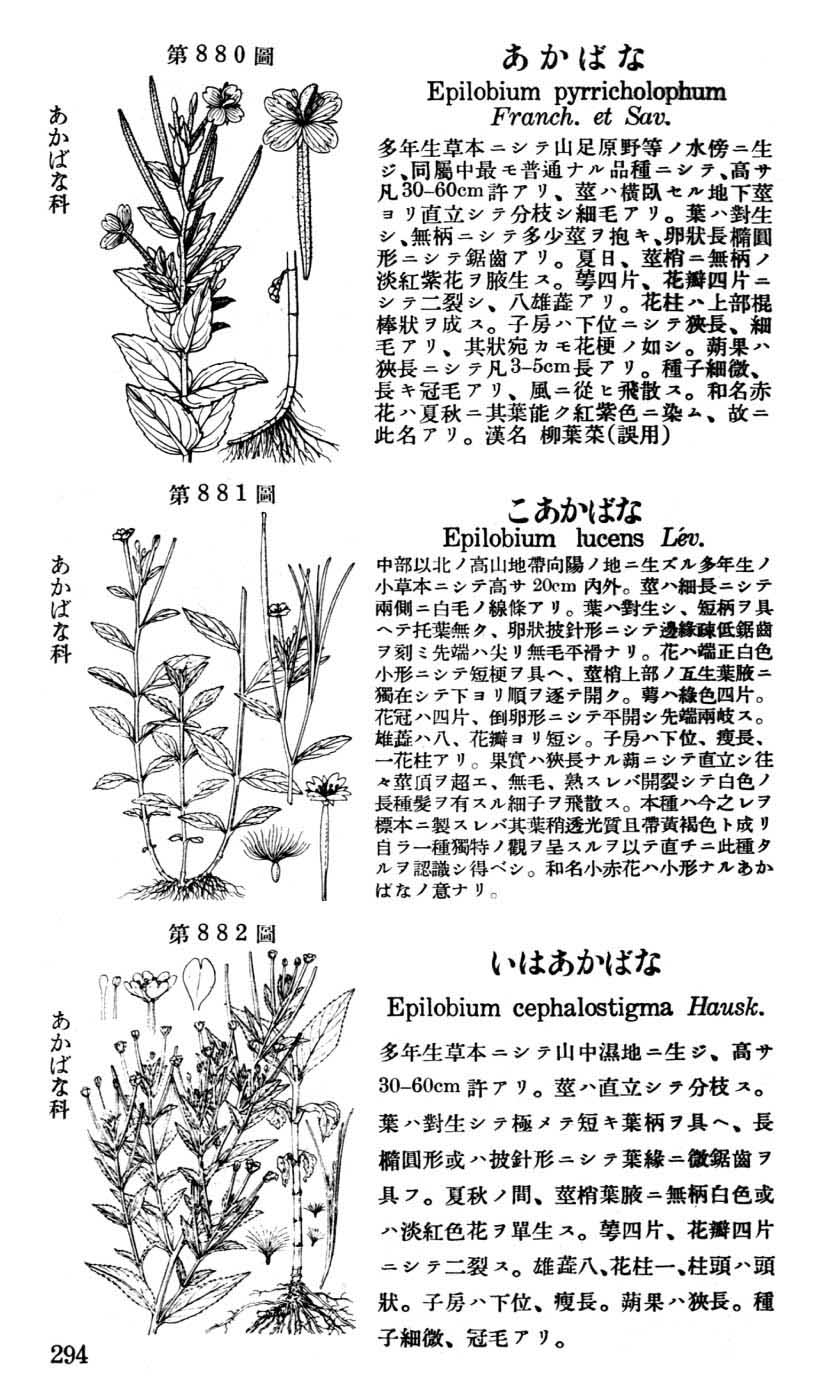 植物図鑑