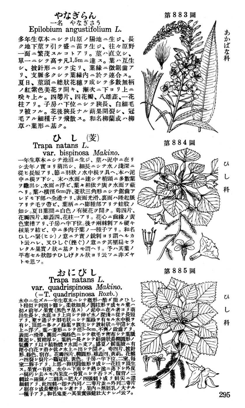 植物図鑑