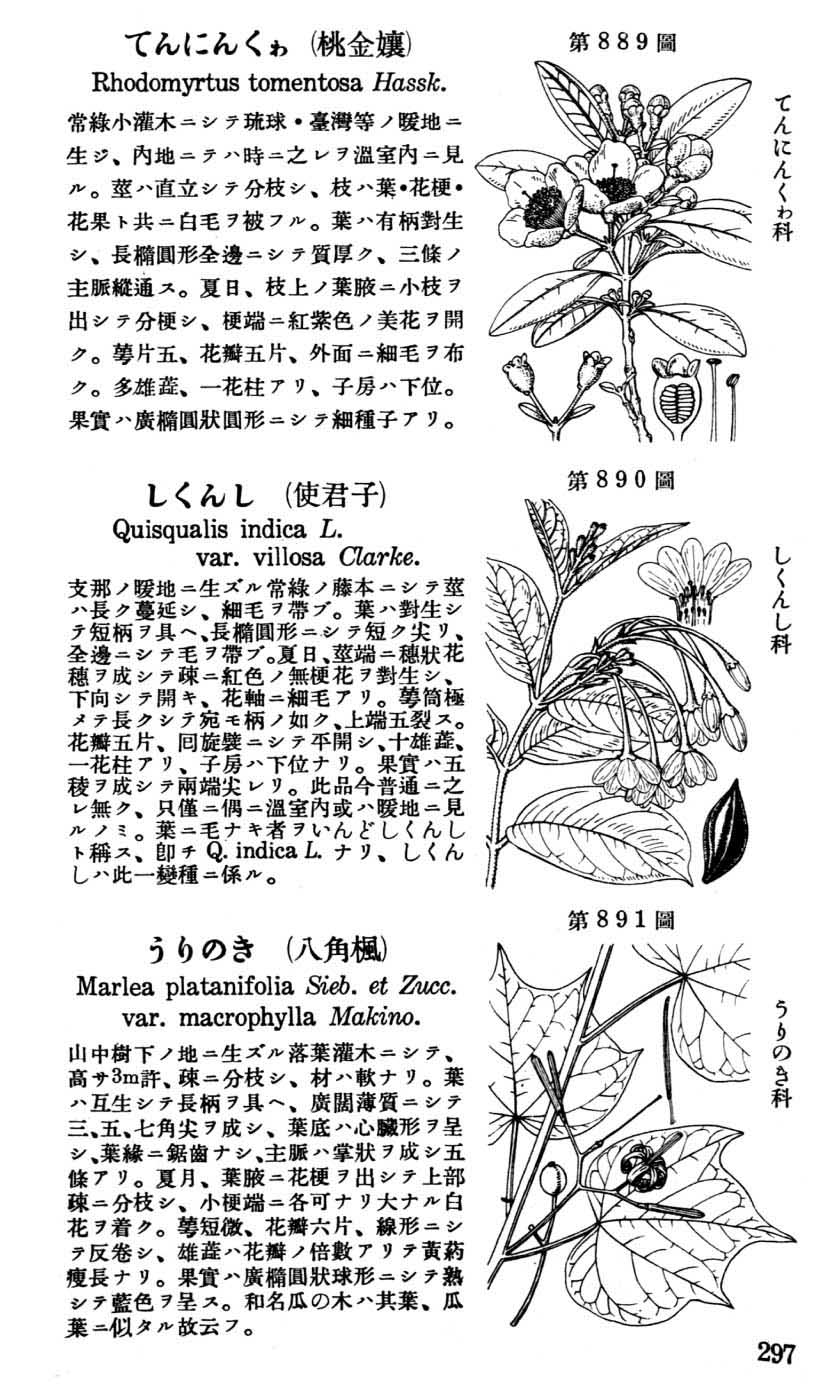 植物図鑑