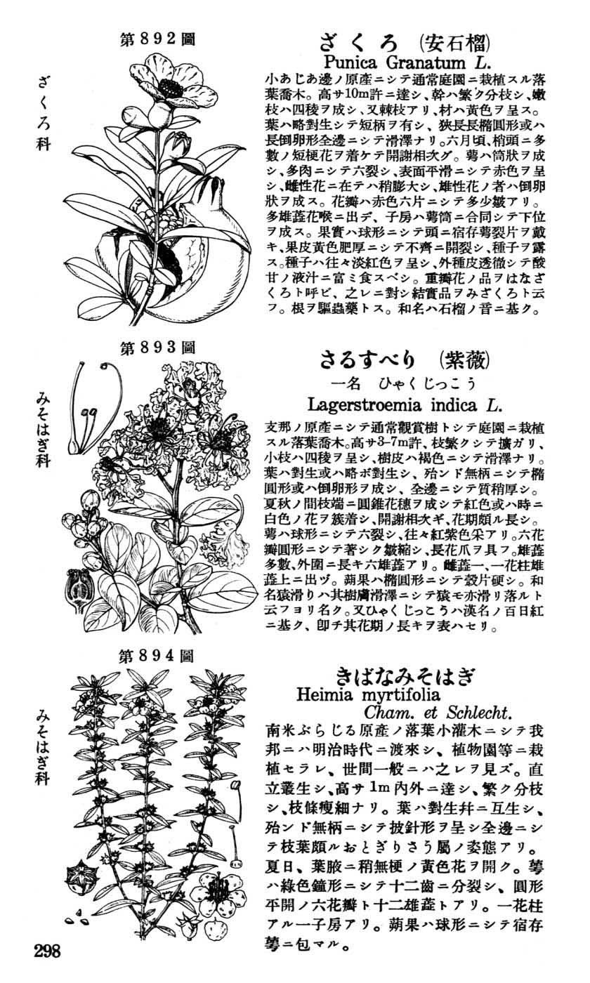 植物図鑑
