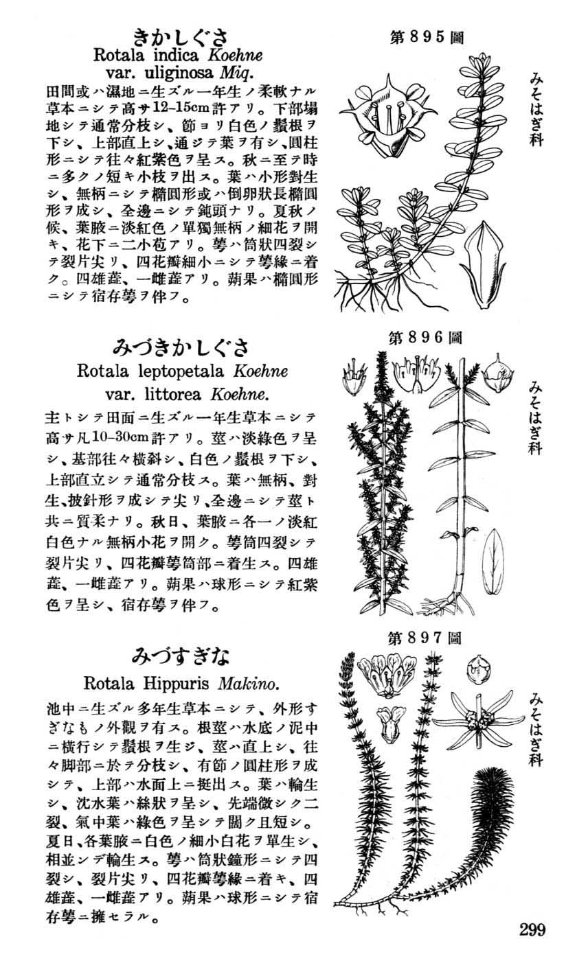 植物図鑑