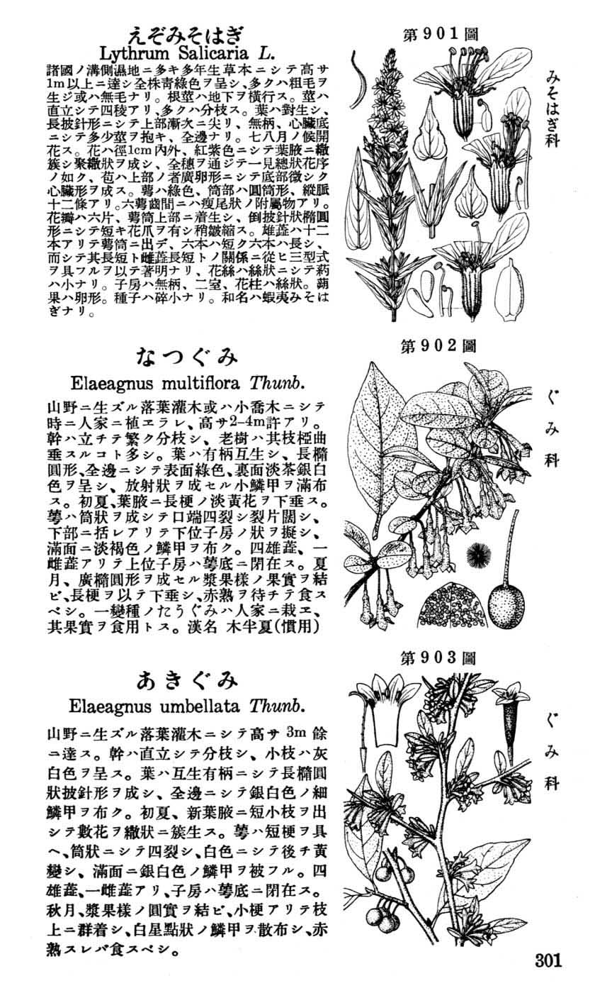 植物図鑑