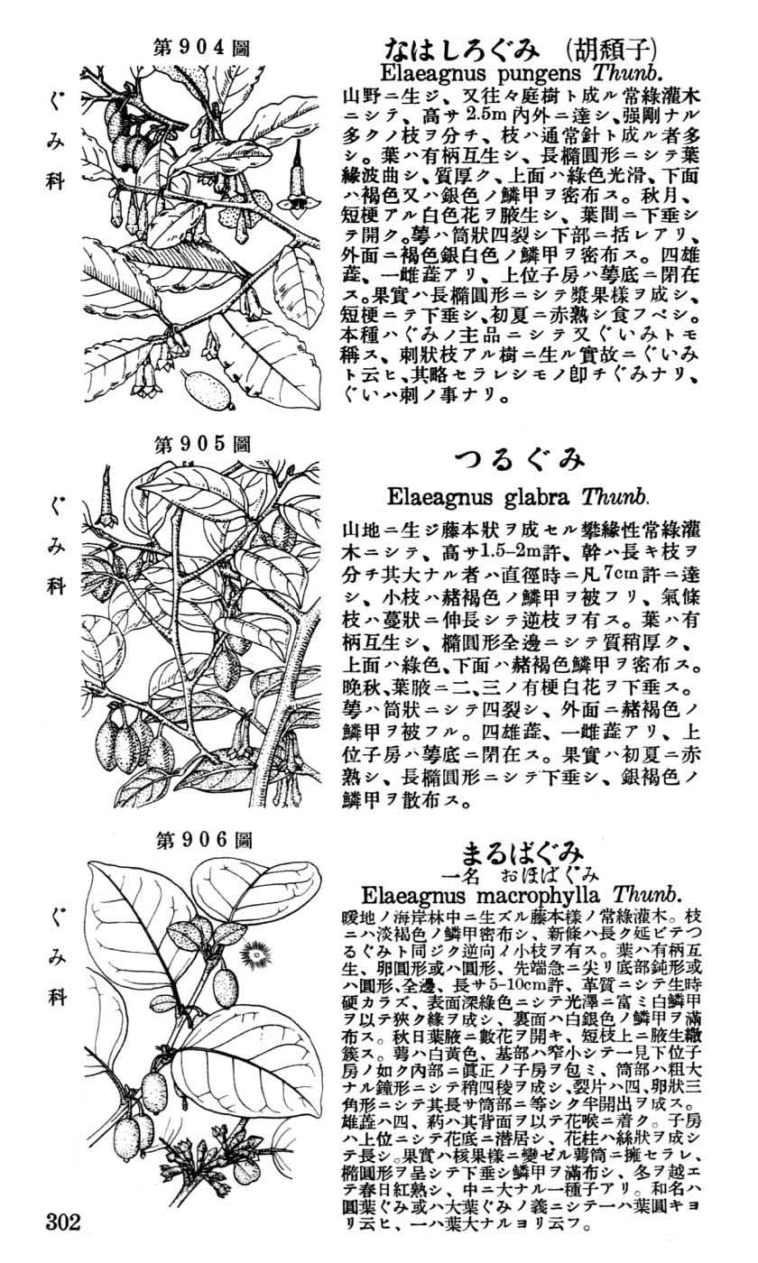 植物図鑑