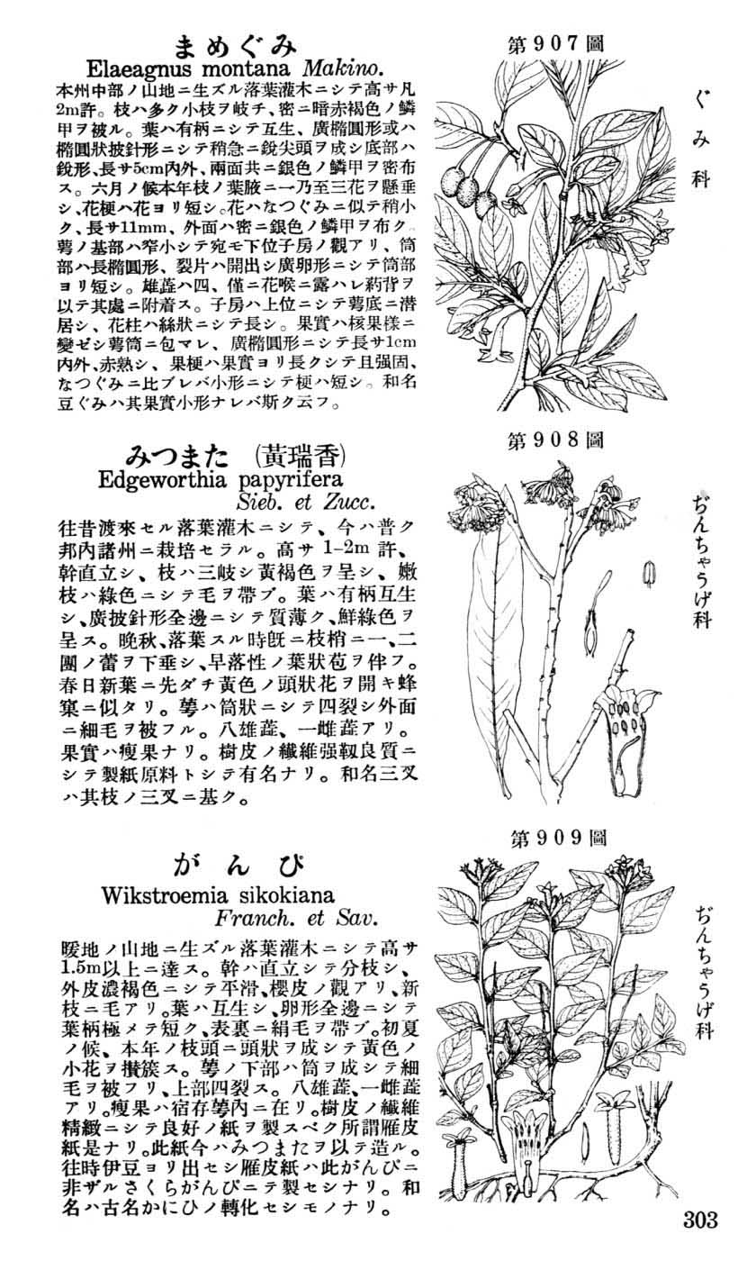 植物図鑑