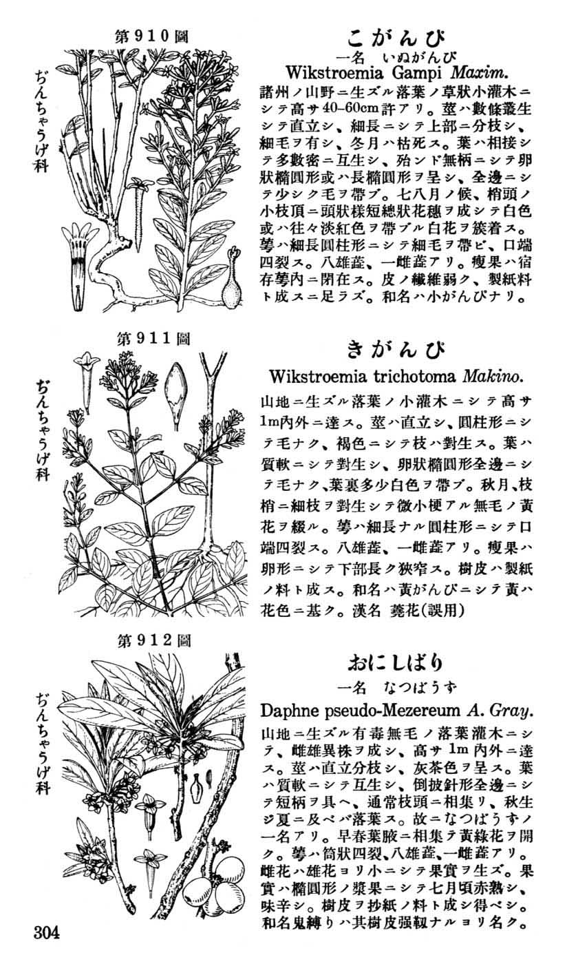 植物図鑑