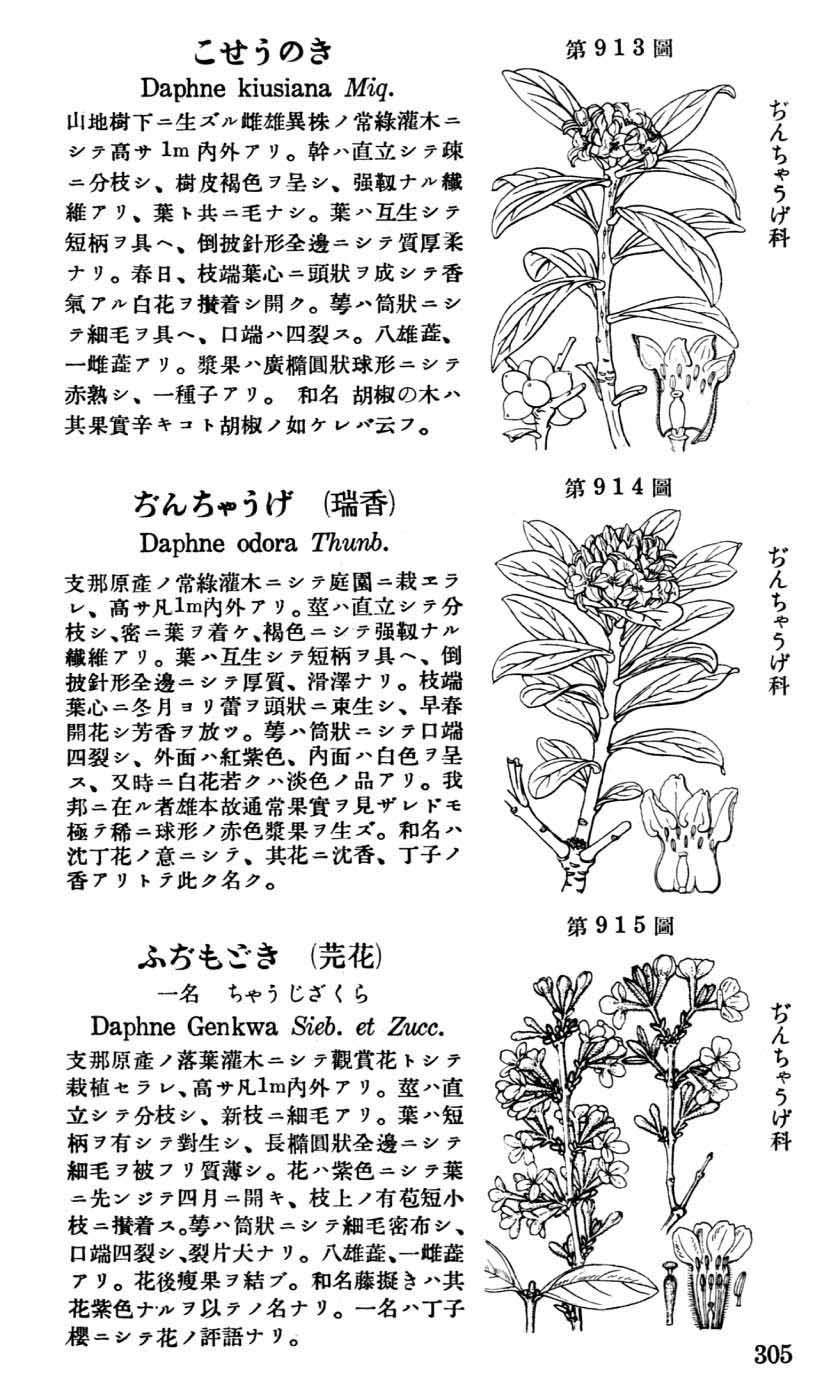 植物図鑑