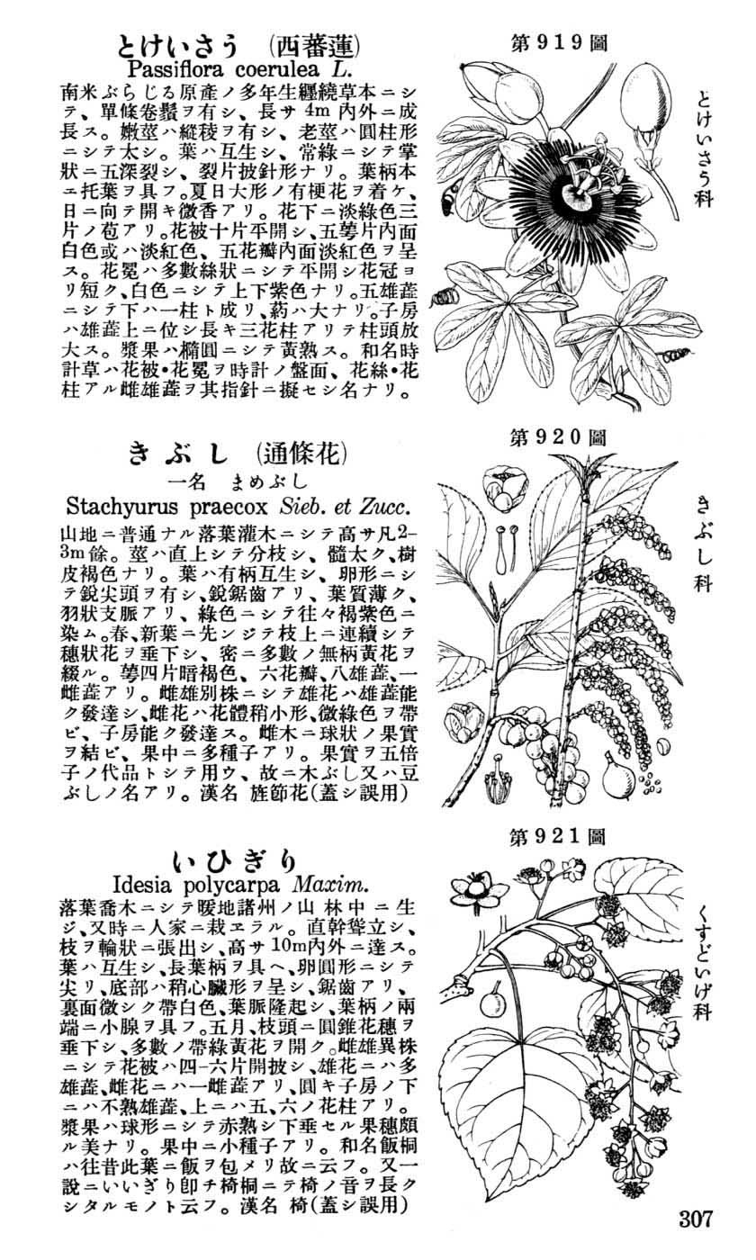 植物図鑑