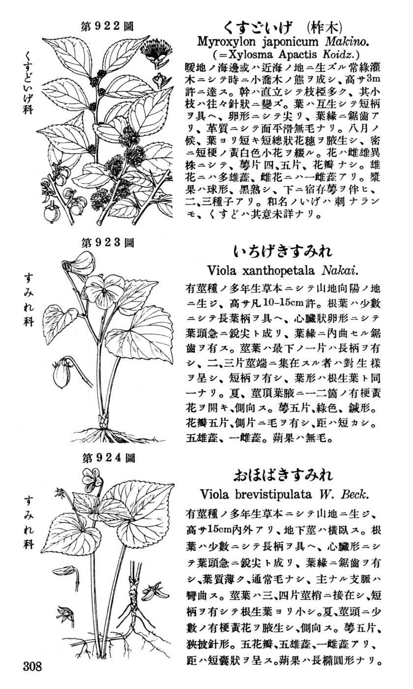 植物図鑑