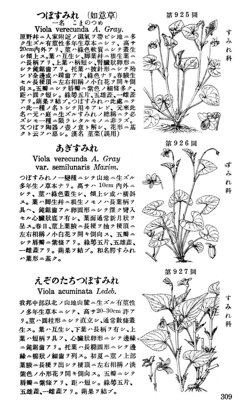 植物図鑑