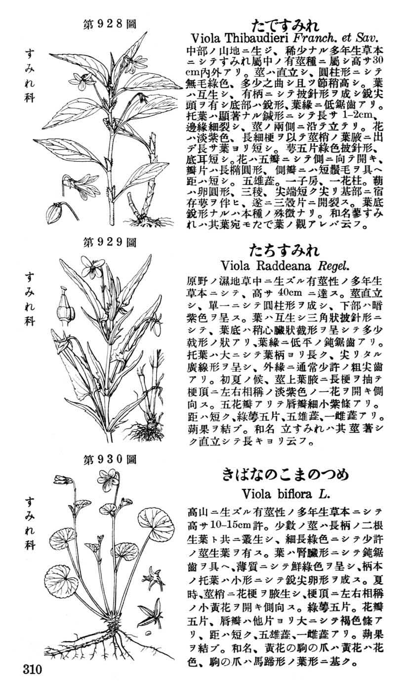 植物図鑑
