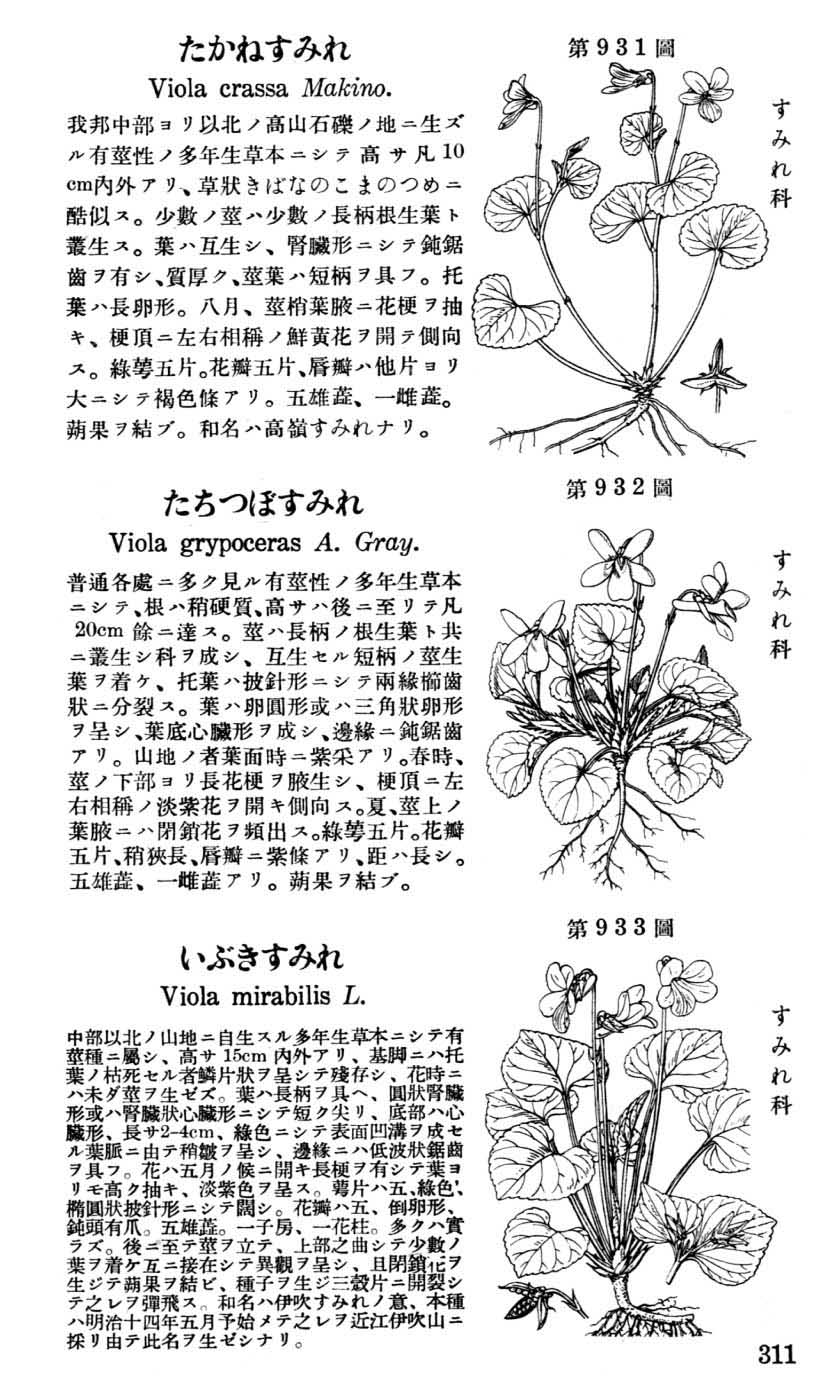 植物図鑑