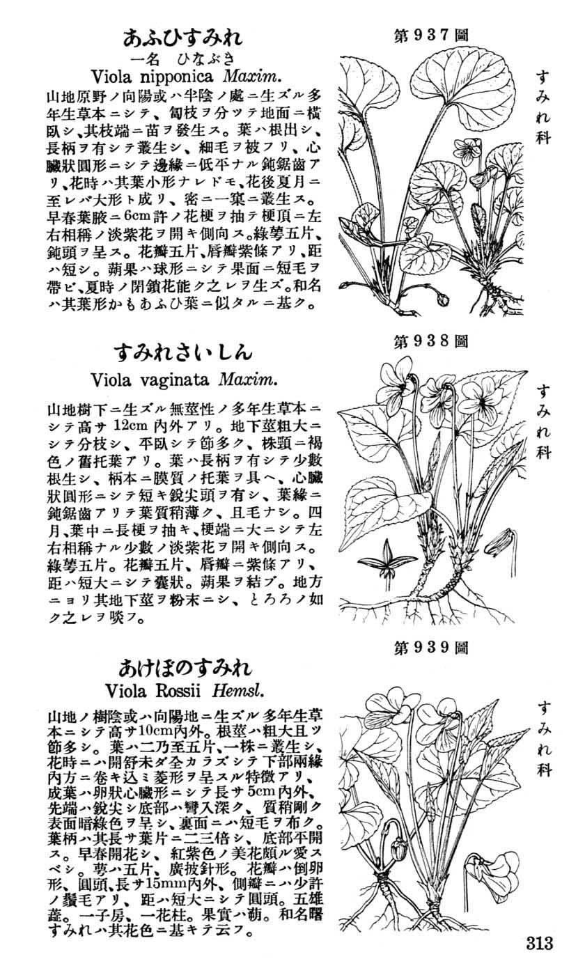 植物図鑑