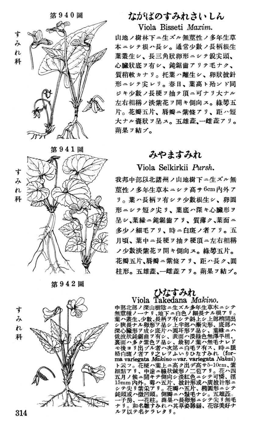 植物図鑑