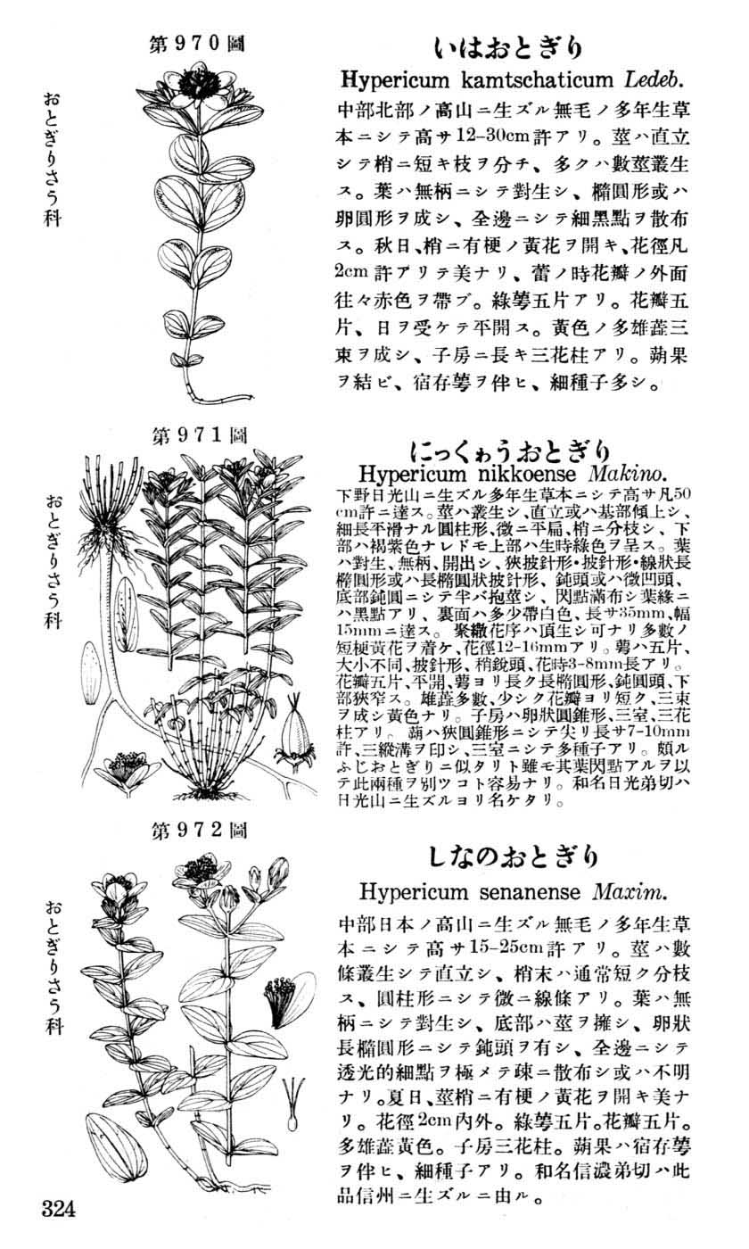 植物図鑑