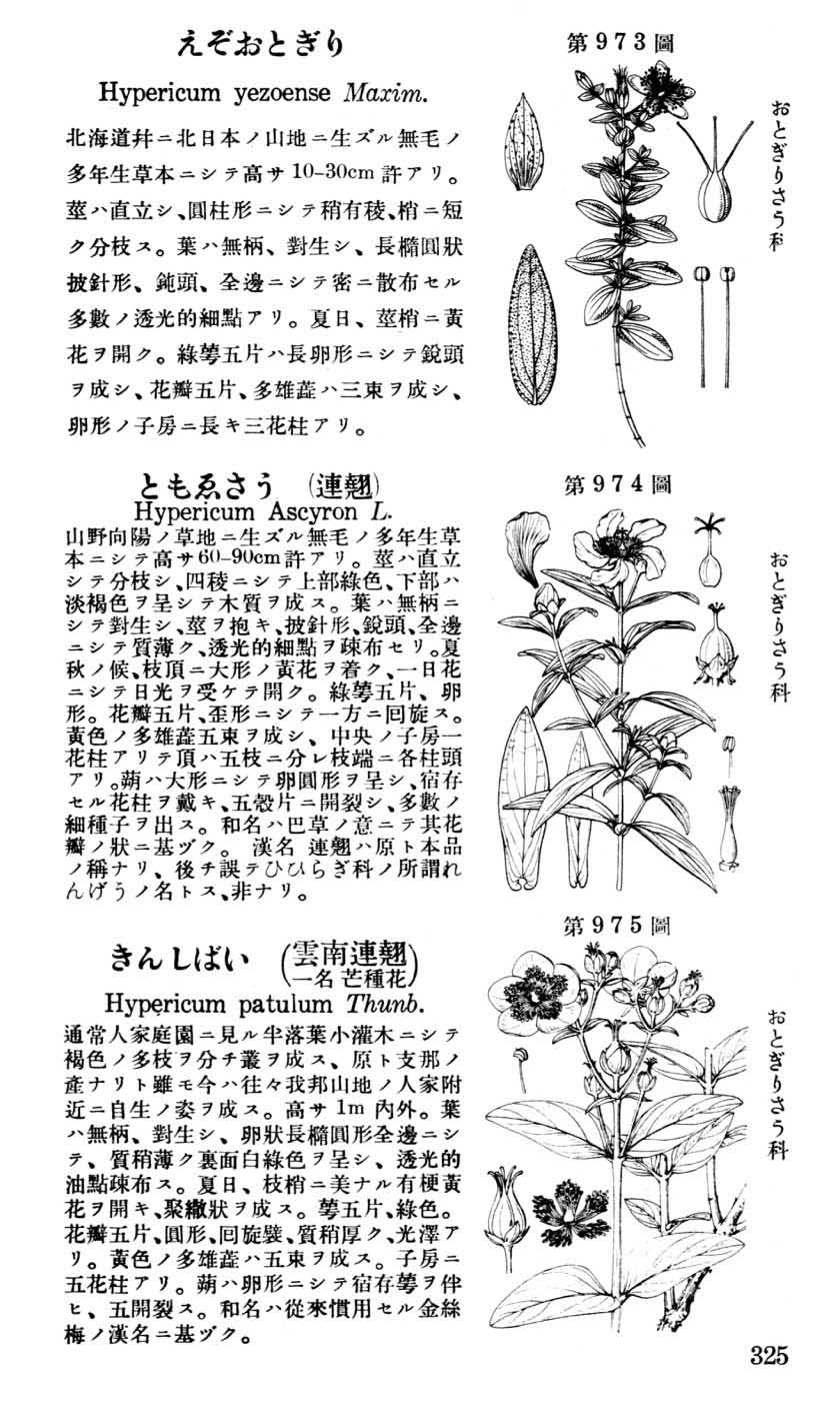 植物図鑑