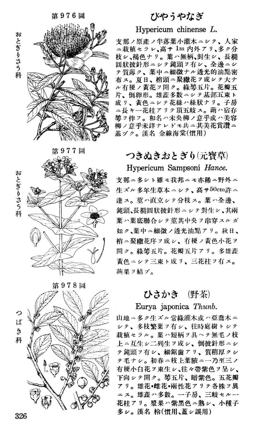 植物図鑑