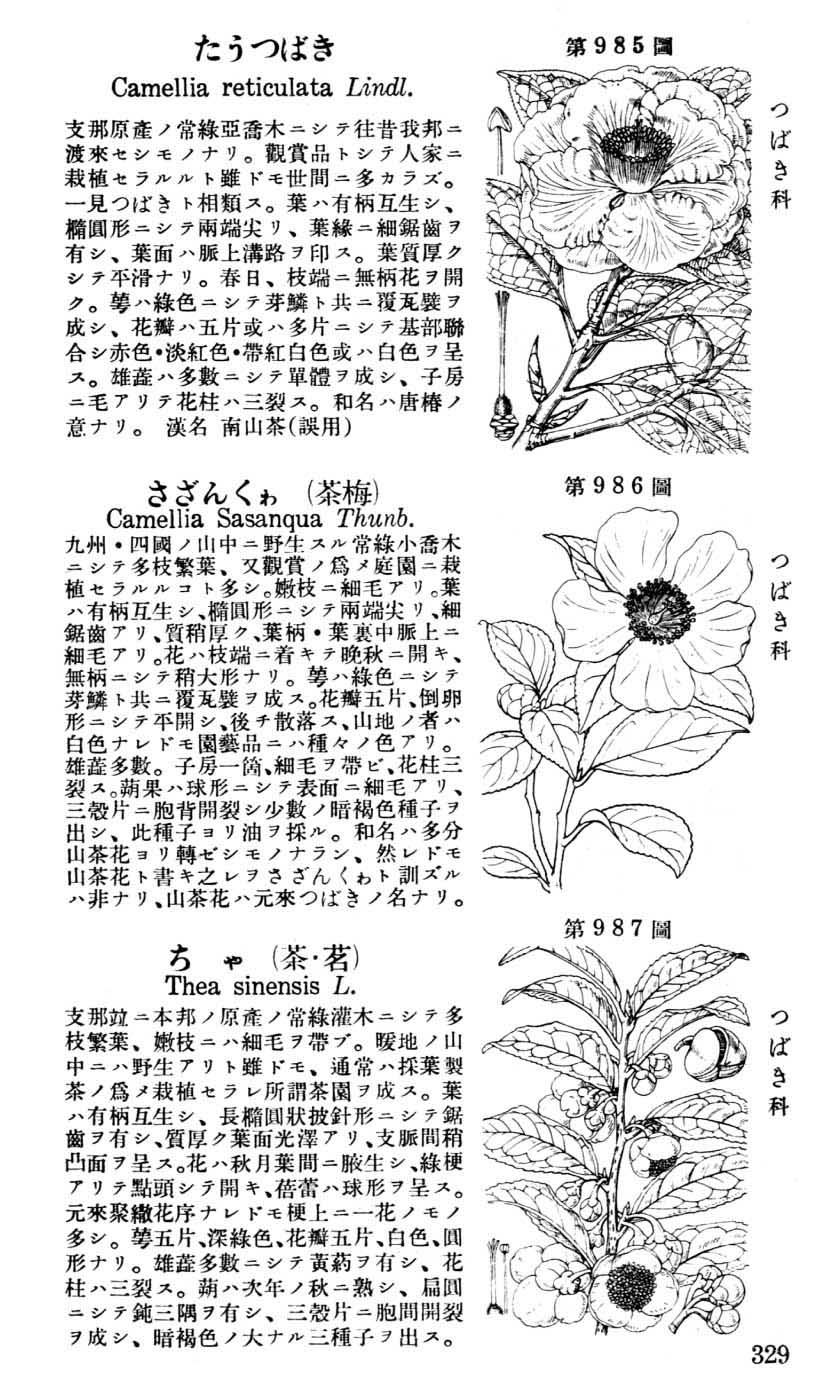 植物図鑑
